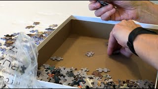 Jigsaw Puzzles  Part 1  Tips and Tricks [upl. by Ahsrop]