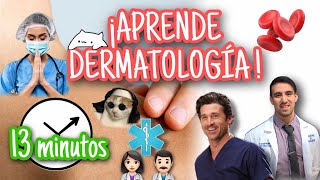 PIEL ¡Anatomía funcional en 13 minutos BASES DE LA DERMATOLOGÍA [upl. by Beth902]