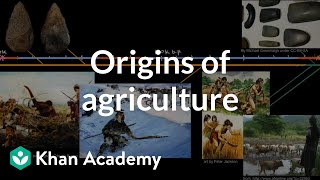 Origins of agriculture  World History  Khan Academy [upl. by Gesner139]