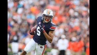 Anthony Schwartz Auburn Tiger  quotFastest Player in College Footballquot Freshman Highlights HD [upl. by Fiedler]