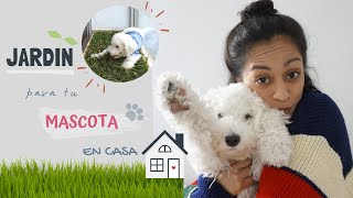 ¡CREA UN JARDIN Y BAÑO PARA TU MASCOTA  DIY [upl. by Micky]