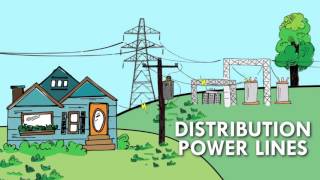 The Electric Grid Connects Us All [upl. by Schindler]