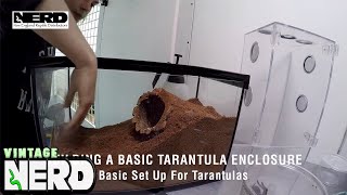 Building a basic tarantula enclosure  Basic Set Up For Tarantulas [upl. by Aynuat]