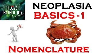 NEOPLASIA1 BASICS Nomenclature Benign Malignant Mixed tumors teratomaHamartoma choristoma [upl. by Skill843]