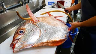 Japanese Street Food  GIANT OPAH SUNFISH Okinawa Japan [upl. by Emlen199]