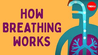 How breathing works  Nirvair Kaur [upl. by Hephzibah228]