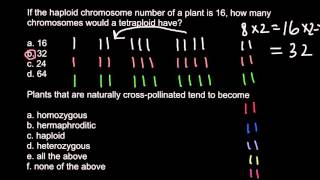 Haploid diploid triploid and tetraploid plants [upl. by Avalsorim]