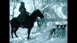 Russian Hunting Dog vs Wolf Borzoi Russian Wolfhound 1910 Documentary [upl. by Beatrisa766]