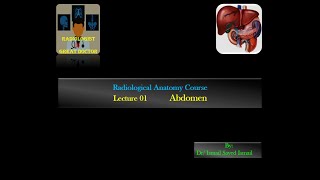 Radiological Anatomy Course Lecture 01 Abdomen Part1 [upl. by Bresee199]