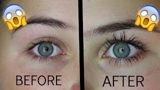 How To Grow Your Eyelashes In 1 Day [upl. by Kcam]