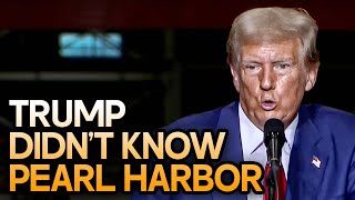 Trump Didnt Know What Pearl Harbor Was And Couldnt Read The Constitution [upl. by Asilehs]