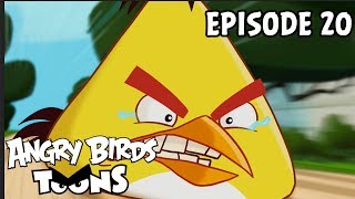 Angry Birds Toons  Run Chuck Run  S1 Ep20 [upl. by Marcelle]