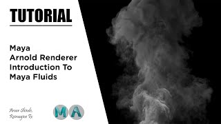 Introduction to Maya Fluids  Maya  Arnold Renderer  Tutorial [upl. by Harrow]