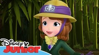 Sofia the First  Stronger Than You Know  Official Disney Junior Africa [upl. by Bish]