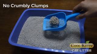 Cool Kitty Clumping Cat Litter [upl. by Stephania]