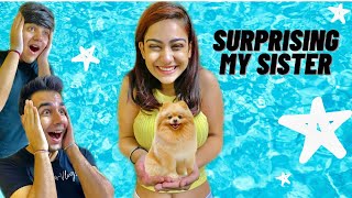 SURPRISING MY SISTER WITH A NEW DOG  Rimorav Vlogs [upl. by Terencio]