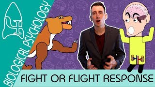 Fight or Flight  Biological Psychology AQA ALevel [upl. by Awuhsoj]