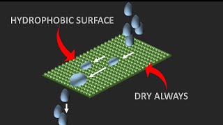 Science behind Hydrophobic technologies  The lotus effect [upl. by Herson]