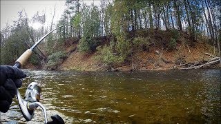 Steelhead Fishing the Easiest Rig Ever [upl. by Yecart]