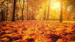 Autumn Days – Primary School Hymn [upl. by Ilario461]