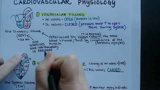 Cardiac Cycle  Cardiovascular Physiology [upl. by Maurise]