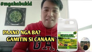 HOW TO USE CANAAN ORGANIC FOLIAR FERTILIZER [upl. by Keisling]