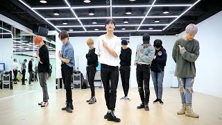 ATEEZ  WONDERLAND dance practice mirrored [upl. by Akcira]