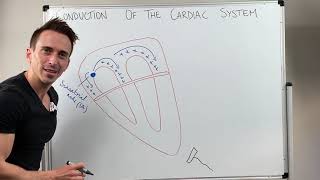 Heart Conduction amp ECG EKG Interpretation [upl. by Rheta]