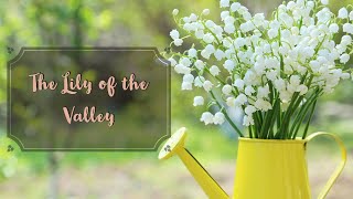 The Lily of the Valley With Lyrics [upl. by Annoirb]