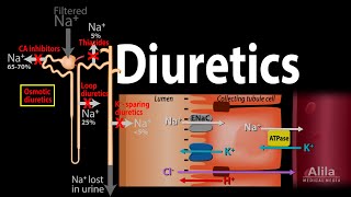 Diuretics  Mechanism of Action of Different Classes of Diuretics Animation [upl. by Enilegna]