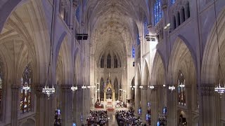 Restoring St Patricks Cathedral [upl. by Enatan474]