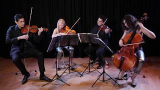 Hava Nagila  Jewish Traditional  GIARDINO STRINGS QUARTET [upl. by Norrehc]