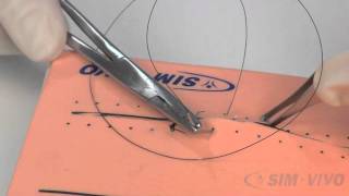 SIM SUTURE  5 Running Simple Sutures [upl. by Earehs]