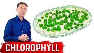 9 Proven Benefits of Chlorophyll [upl. by Adihsar]