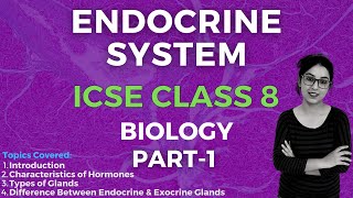 Endocrine System  ICSE CLASS 8 Biology  Part  1 [upl. by Fanchet406]