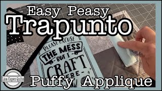 Trapunto PUFFY Applique  3 Easy Ways w Lisa Capen Quilts [upl. by Minda]