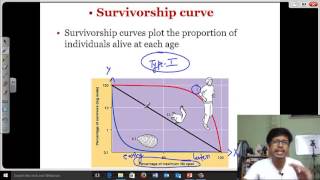 Survivorship curve [upl. by Pepita]