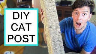 DIY Cat Scratching Post  TOUGH  DURABLE [upl. by Ocsinarf631]