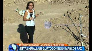 Gliptodonte en Marcos Paz  Telefe Noticias [upl. by Layol]