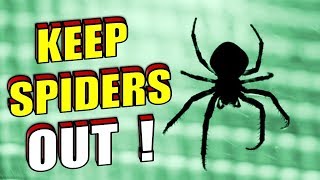 How To Naturally Stop Spiders From Entering Your Home  Room [upl. by Ecinna]