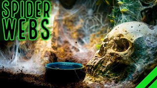 TOP 10 Heaviest Webbing Tarantulas BIG Spiders BIGGER Webs [upl. by Takashi]