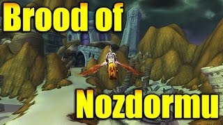 Brood of Nozdormu reputation farm guide [upl. by Kachine]