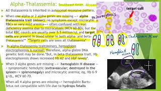 Hematology in 10 min Hemoglobinopathy ampThalassemia [upl. by Hettie]