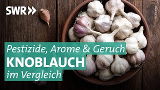 Knoblauch im Test Wie gesund ist die Knolle wirklich  Marktcheck SWR [upl. by Rainer92]