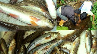 Traditional way of Fishing still remaining in Nepali Village [upl. by Aikar]