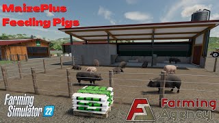 Feeding Pigs with MaizePlus  MaizePlus  FS22 [upl. by Ahsiloc]