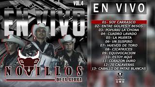 Novillos de la Sierra  En Vivo Vol4  2021 DISCO COMPLETO [upl. by Polk]