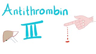 Antithrombin III  How Heparin Works [upl. by Neiht]