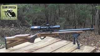 Ruger 1022 Bull Barrel Review [upl. by Narine]