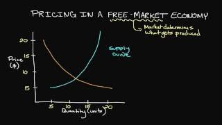 Pricing in a FreeMarket Economy [upl. by Luciano]